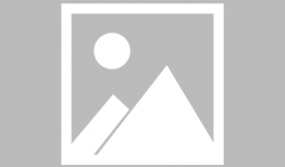 忠者无敌电视剧,忠诚铸就英雄传奇