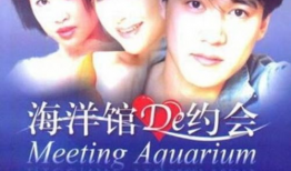 海洋馆的约会 电视剧,浪漫邂逅，海洋奇缘