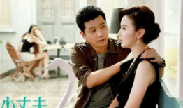 小丈夫电视剧剧情介绍,都市爱情纠葛，婚姻真相浮出水面